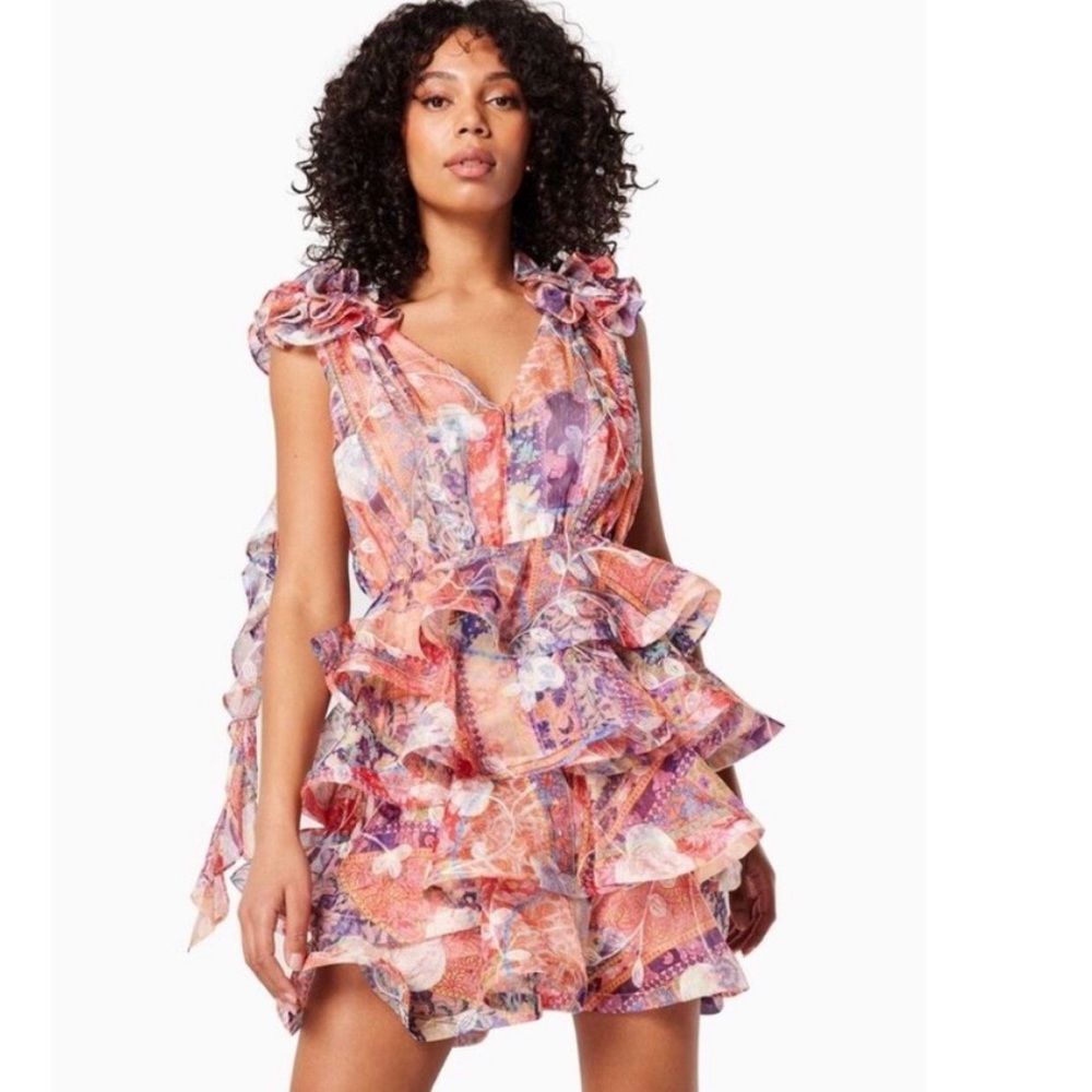 Elliott Electro ruffled mini dress in muliti